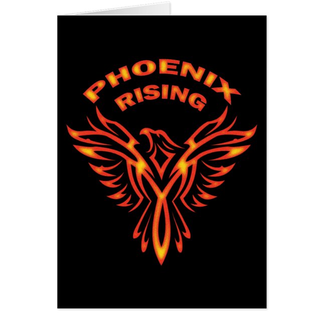 AUGMENTATION DE PHOENIX (Devant)