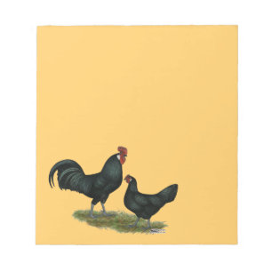 Augsburger Chickens Notitieblok