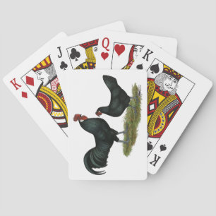 Augsburger Chickens Speelkaarten