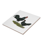 Augsburger Chickens Tegeltje (Zijkant)