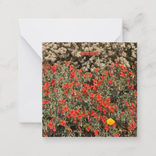 August Ablaze Notitiekaartje (Voorkant)