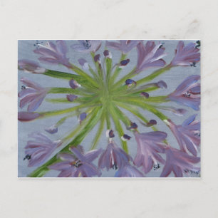 August Agapanthus Briefkaart