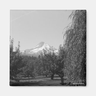 August Mt Hood magneet