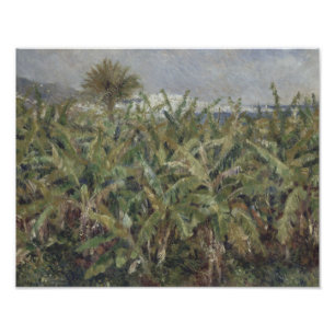 Auguste Renoir - Gebied van de bananenbomen Foto Afdruk