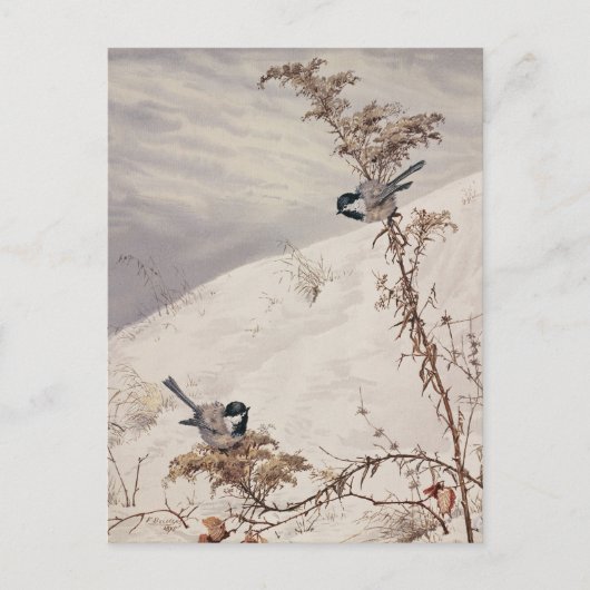 augustus | Fidelia Bridges Briefkaart (Voorkant)