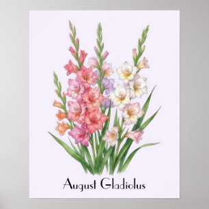 Augustus Gladiolus Bloemen Poster