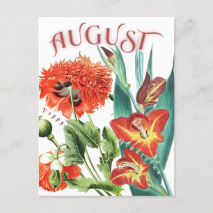 Augustus Maand Bloemen Gladiolus & Poppy Fancy Briefkaart