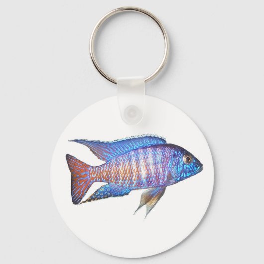 Aulonocara pauock sleutelhanger (Voorkant)