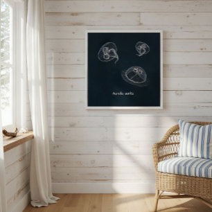 Aurelia aurita Educatief Poster Perfect Poster