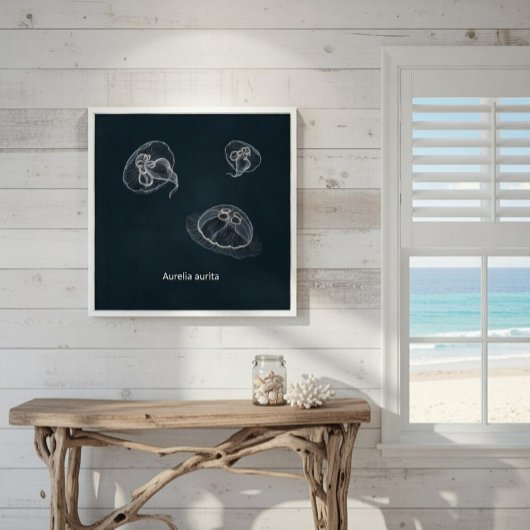 Aurelia aurita Poster éducatif