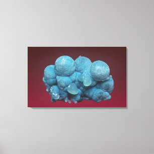 Aurichalcite met Smithsonite, Soccorro County, Ne Canvas Afdruk