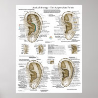 Auriculotherapie Oorspronkelijke punctiepunten Gra
