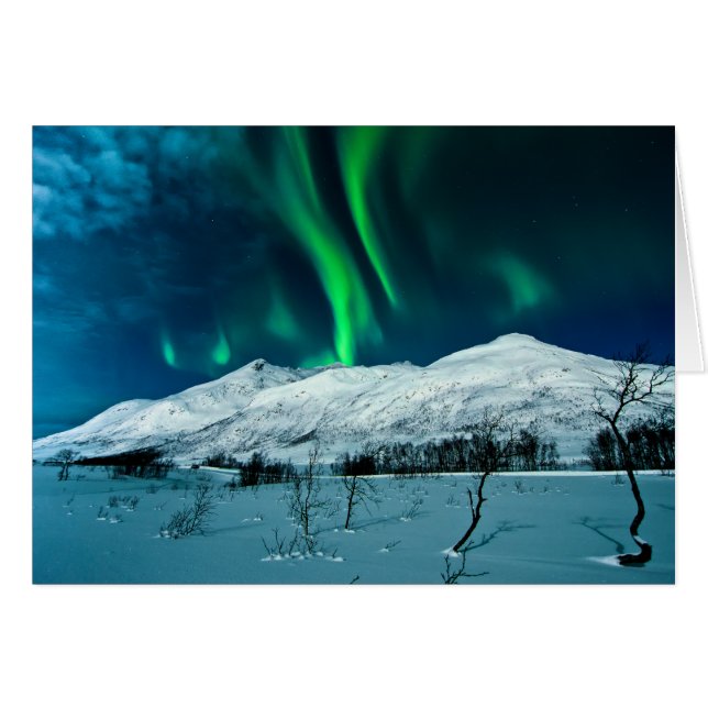 Aurora (Devant horizontal)