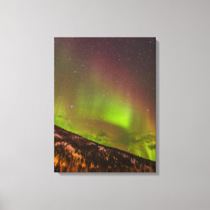Aurora Borealis Bergen Fairbanks Alaska Canvas Afdruk