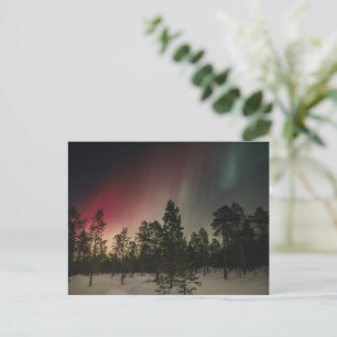 Aurora Borealis Boven Besneeuwd Bos Briefkaart