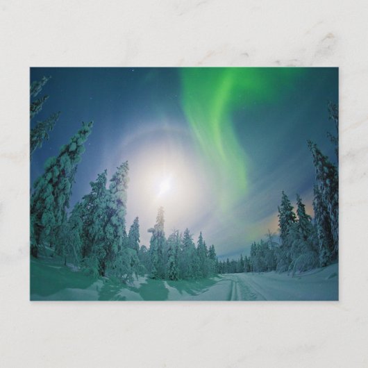Aurora Borealis Briefkaart (Voorkant)
