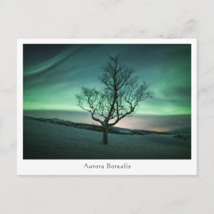 Aurora Borealis Briefkaart