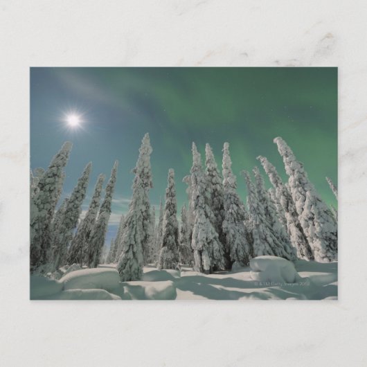 Aurora Borealis Briefkaart (Voorkant)