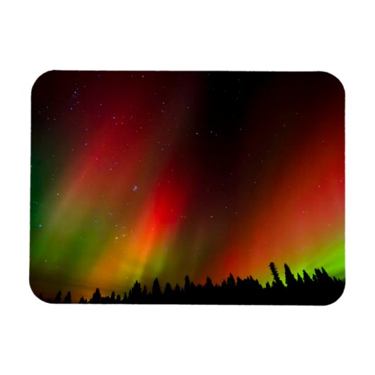 Aurora Borealis en bomen Magneet (Horizontaal)