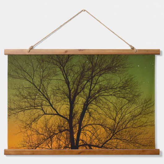 Aurora Borealis en Cottonwood Tree Hangend Wandkleed (Voorkant)