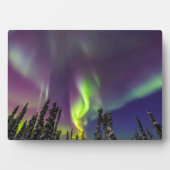 Aurora Borealis | Fairbanks, Alaska Fotoplaat (voorkant)