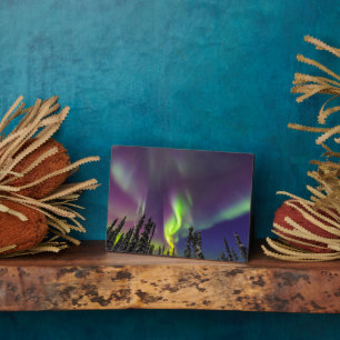 Aurora Borealis   Fairbanks, Alaska Fotoplaat