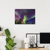 Aurora Borealis | Fairbanks, Alaska Poster (Thuiskantoor)