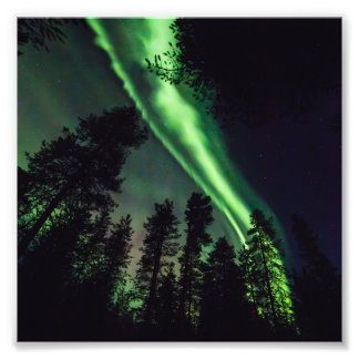 Aurora borealis, Finse Lapland Foto Afdruk