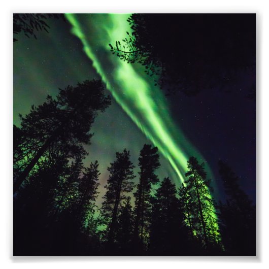 Aurora borealis, Finse Lapland Foto Afdruk (Voorkant)