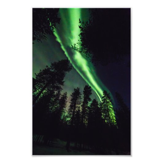 Aurora borealis, Finse Lapland Foto Afdruk (Voorkant)