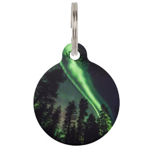 Aurora borealis, Finse Lapland Huisdierpenning