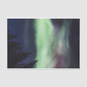 Aurora borealis, Finse Lapland Tissuepapier