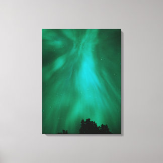 Aurora Borealis Nachttijd | Ontario, Canada Canvas Afdruk