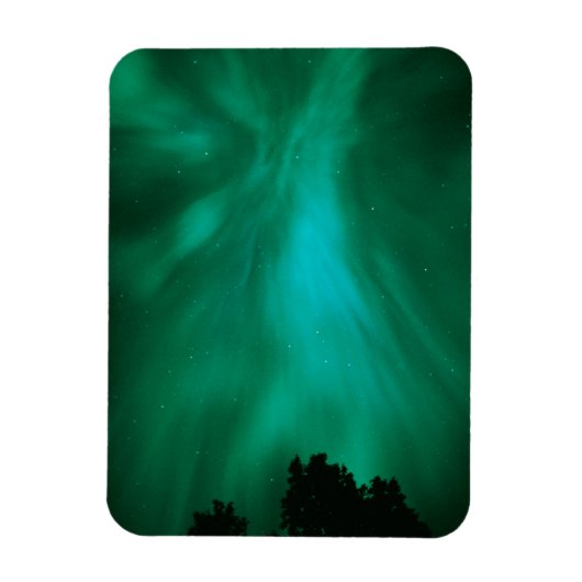 Aurora Borealis Nachttijd | Ontario, Canada Magneet (Verticaal)