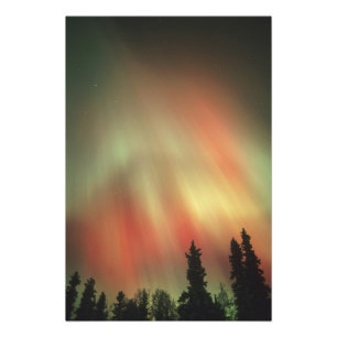 Aurora Borealis, Noorderlicht, Fairbanks Foto Afdruk