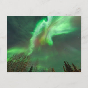 Aurora Borealis Northern Lights   Fairbanks Briefkaart