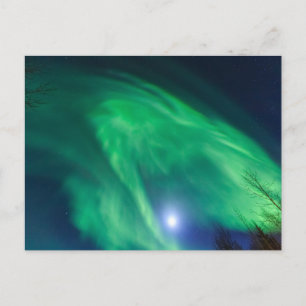Aurora Borealis Northern Lights   Fairbanks Briefkaart