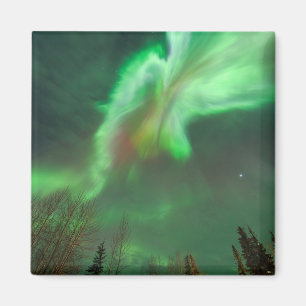 Aurora Borealis Northern Lights Fairbanks Magneet