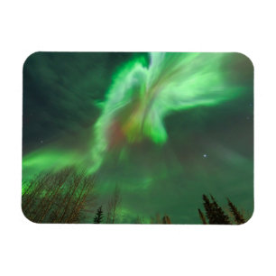 Aurora Borealis Northern Lights   Fairbanks Magneet
