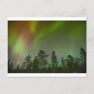 Aurora Borealis Northern Lights Skies Glow Sparkle Briefkaart