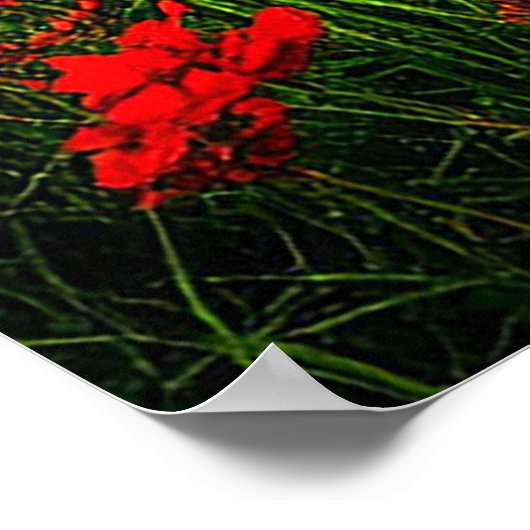 Aurora Borealis Verlicht Een Schilderachtig Weilan Poster (Hoek)