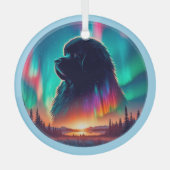 Aurora Newfoundland Dog Ornament  (Voorkant)