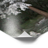 Aurora over het buitenhuis foto afdruk (Hoek)