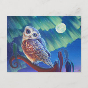 Aurora Owl Briefkaart