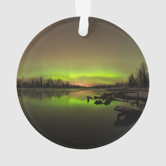 Aurora paisible (dos)