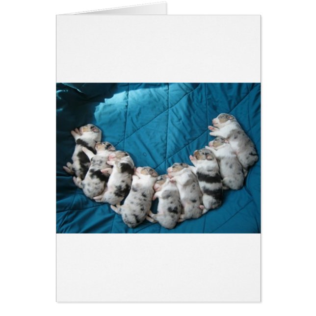 ausen maken me glimlachen (Voorkant)