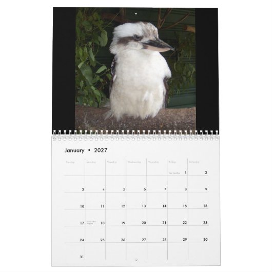 Aussie Animals Kalender (Jan 2027)