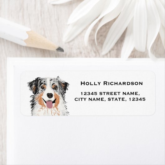 aussie australische herder blauw merle retour labe etiket (Insitu)