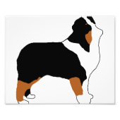 aussie black tri silo foto afdruk (Voorkant)