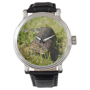 Aussie Blue Tongue Lizard Horloge